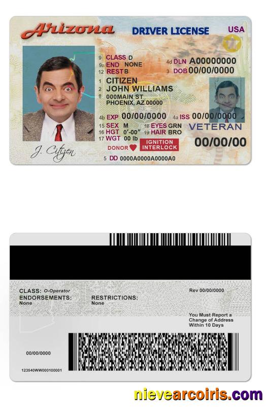 USA Arizona driving license